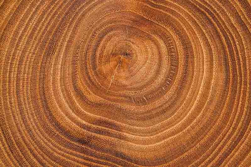 top-view-wood-background